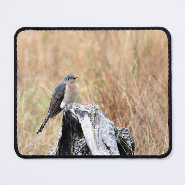 Item preview, Fan-tailed Cuckoo designed and sold by Steve Sass.