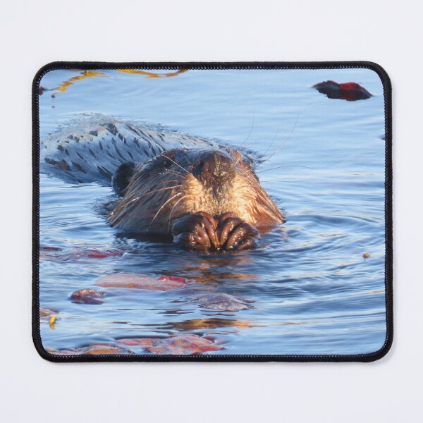 Item preview, Beaver Eating Lily Pads (2) designed and sold by Monica-Stroud.