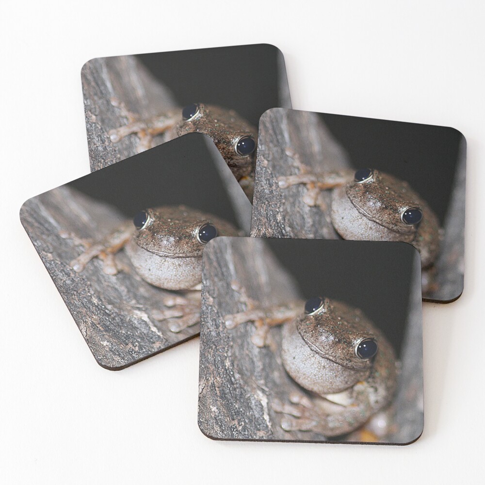 Item preview, Coasters (Set of 4) designed and sold by EnviroKey.
