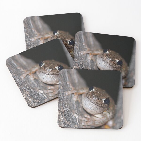 Item preview, Perons Tree Frog designed and sold by Steve Sass.