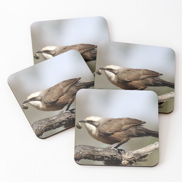 Item preview, Grey-crowned Babbler designed and sold by Steve Sass.