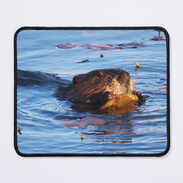 Item preview, Adult Beaver Feasting on Water Lily Plants (1) designed and sold by Monica-Stroud.