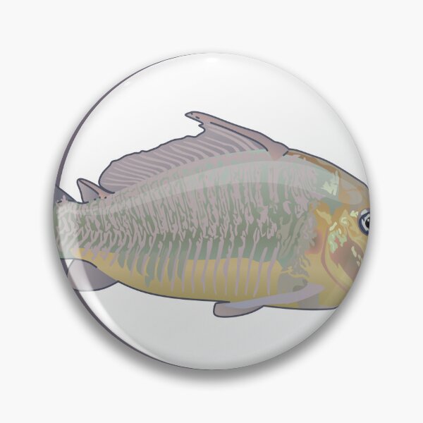 Item preview, Giant Cory Catfish designed and sold by KaplanCrypto.