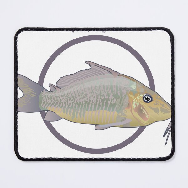 Item preview, Giant Cory Catfish designed and sold by KaplanCrypto.