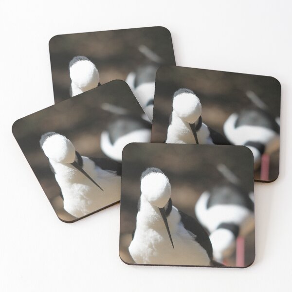 Item preview, Black-winged Stilt designed and sold by Steve Sass.