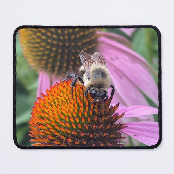 Item preview, Bumblebee on Flower II designed and sold by Pisces-Pics.