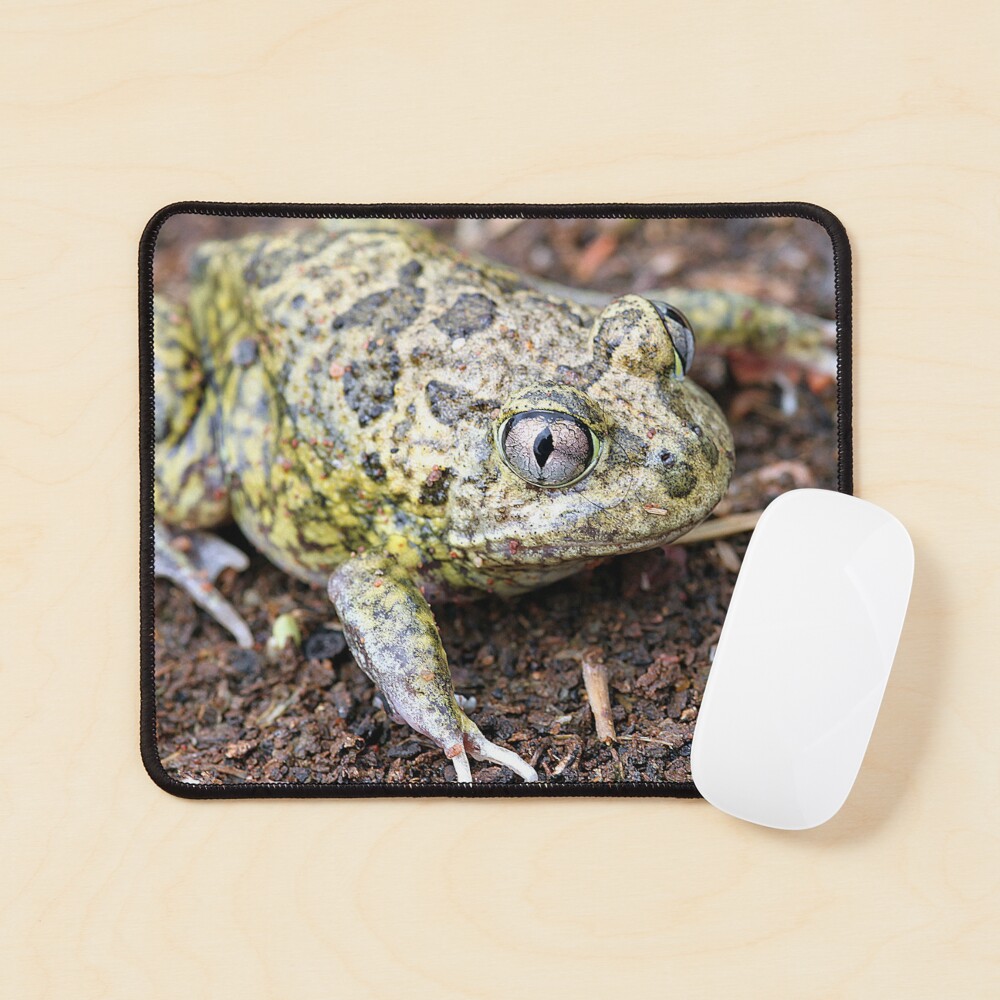 Item preview, Mouse Pad designed and sold by EnviroKey.