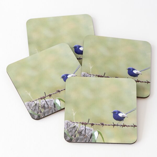 Item preview, White-winged Fairy Wren designed and sold by Steve Sass.