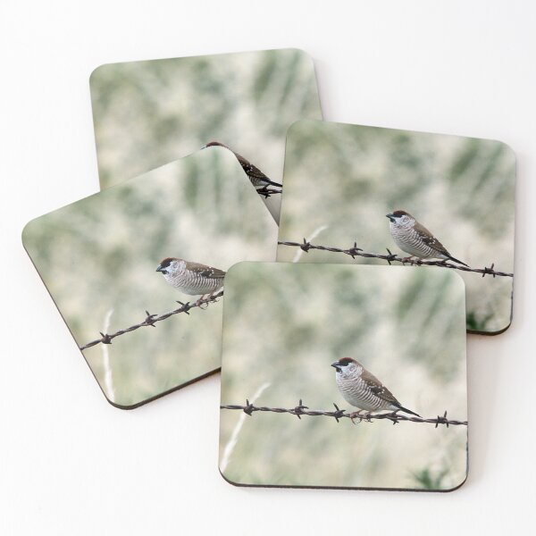 Item preview, Plum-headed Finch designed and sold by Steve Sass.