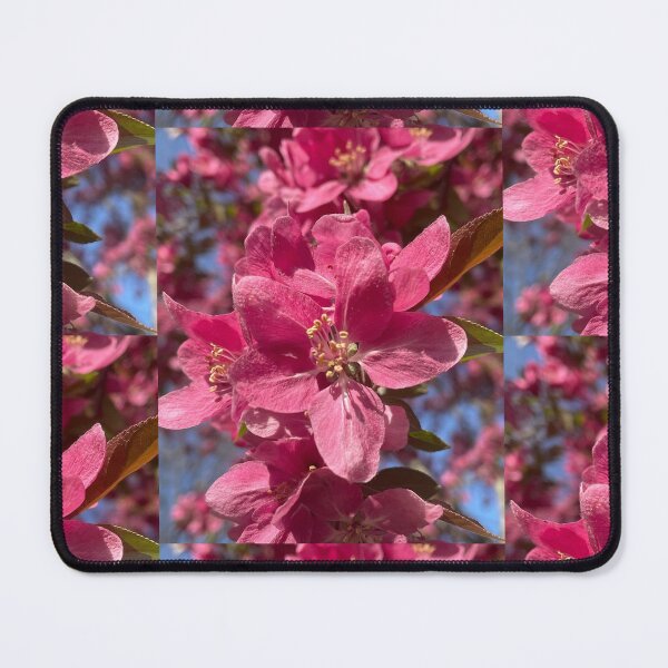 Item preview, Crabapple in Bloom designed and sold by Pisces-Pics.