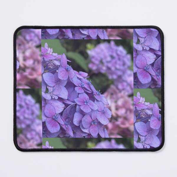 Item preview, Purple Hydrangeas designed and sold by Pisces-Pics.
