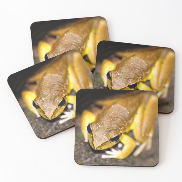 Item preview, Lesueur's Tree Frog designed and sold by Steve Sass.