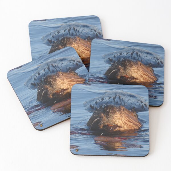 Item preview, Adult Beaver Out for an Evening Swim (3) designed and sold by Monica-Stroud.