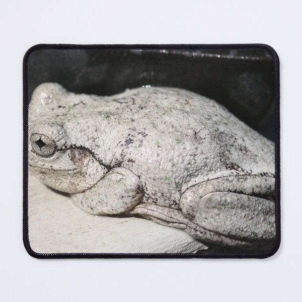 Item preview, Peron's Tree Frog designed and sold by Steve Sass.