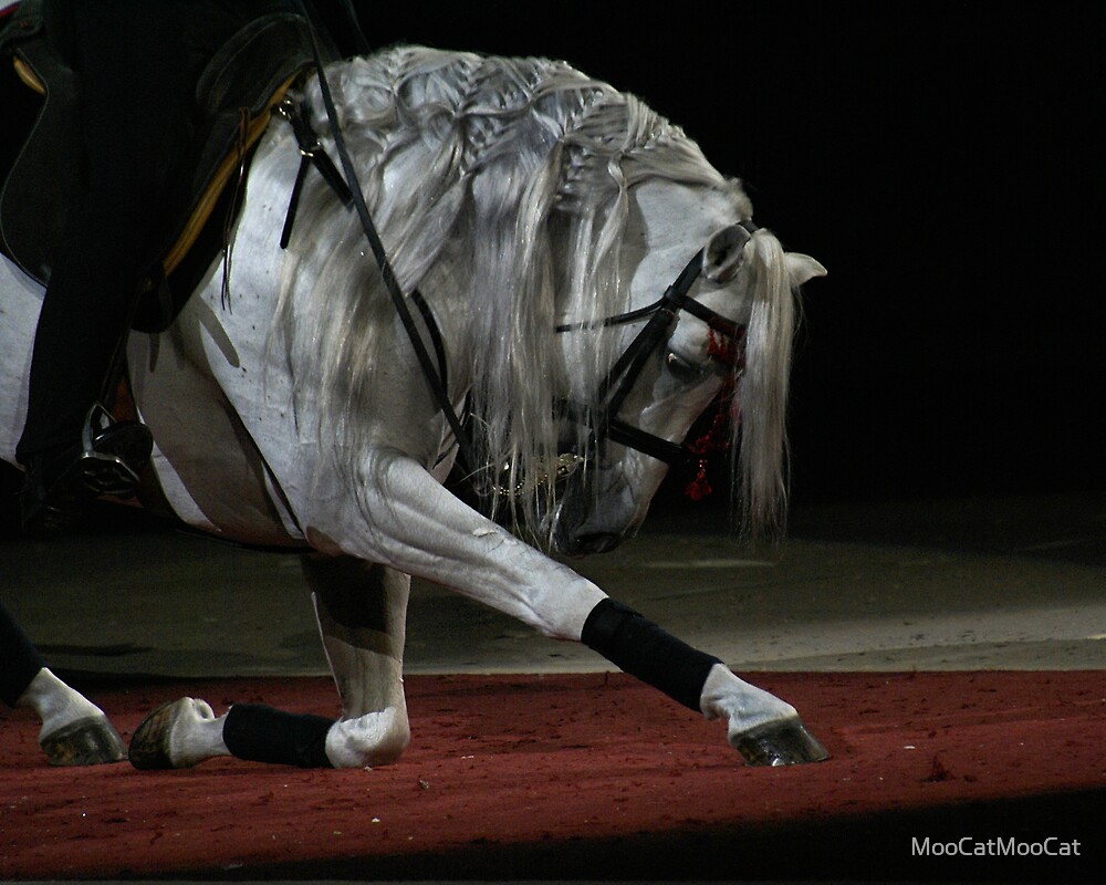 "Bowing Horse" by MooCatMooCat Redbubble