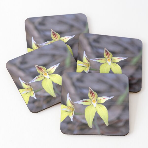 Item preview, Cowslip Orchid designed and sold by Steve Sass.