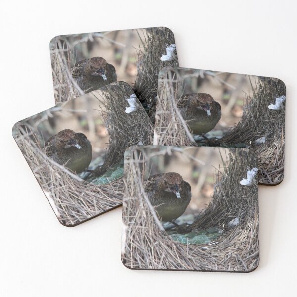 Item preview, Between the Bower Walls designed and sold by Steve Sass.