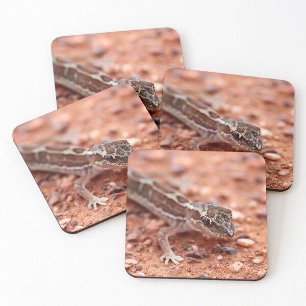 Item preview, Box-patterned Gecko designed and sold by Steve Sass.
