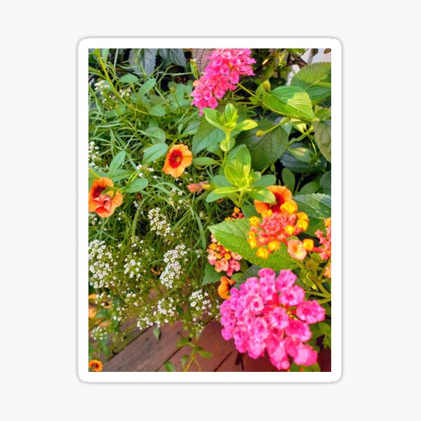 Enchanted Garden Sticker