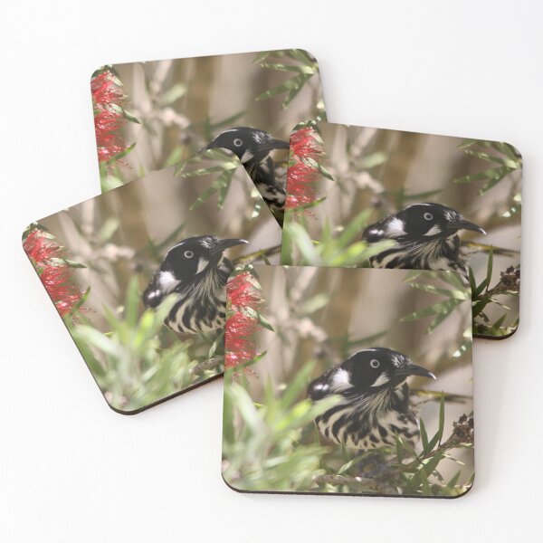 Item preview, New Holland Honeyeater designed and sold by Steve Sass.