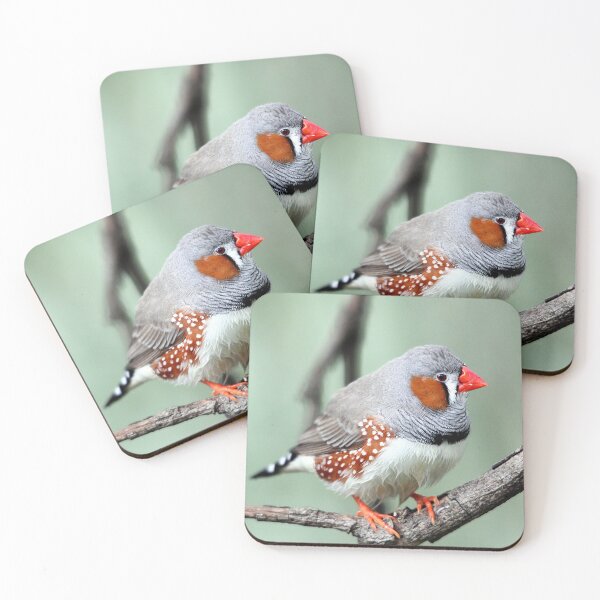 Item preview, Zebra Finch designed and sold by Steve Sass.
