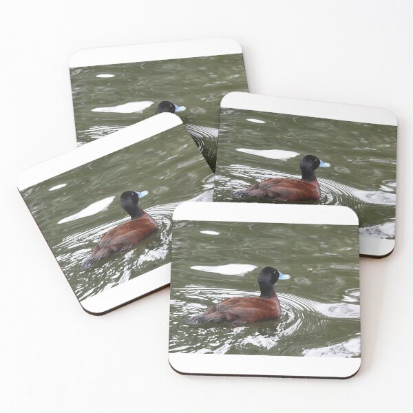 Item preview, Blue-billed Duck designed and sold by Steve Sass.