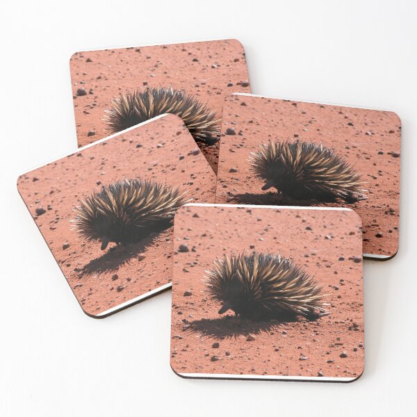 Item preview, Short-beaked Echidna designed and sold by Steve Sass.