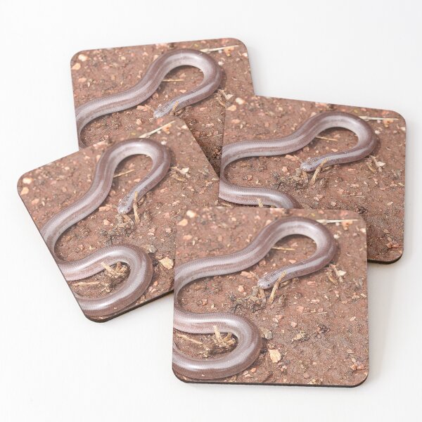 Item preview, Dark-spined Blind Snake designed and sold by Steve Sass.