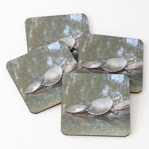 Item preview, Macquarie Turtle designed and sold by Steve Sass.
