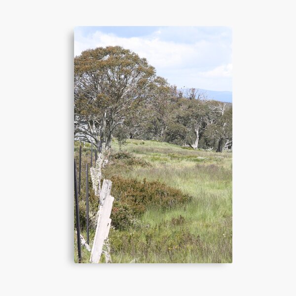 Item preview, Snow Gum Woodland designed and sold by Steve Sass.