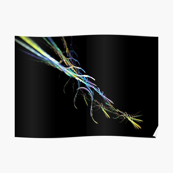 Muon Decay Poster