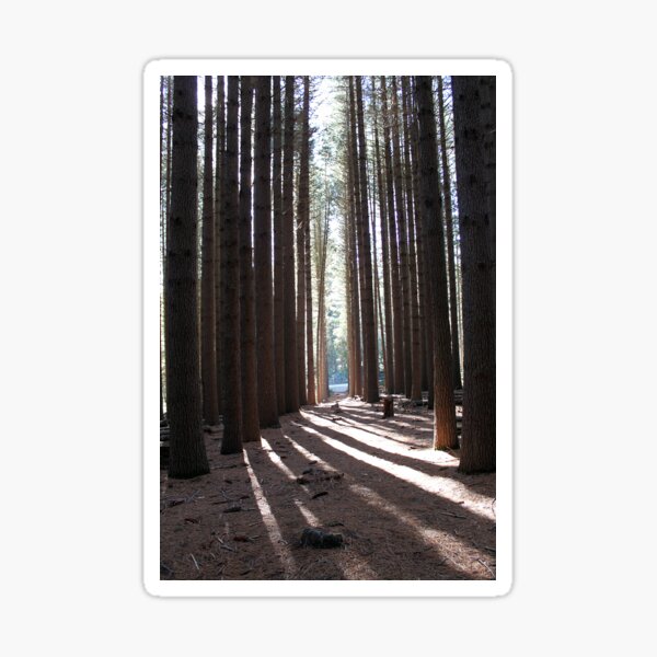 Item preview, Sugar Pine Walk designed and sold by Steve Sass.
