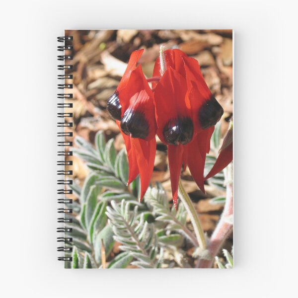 Item preview, Sturt's Desert Pea designed and sold by Steve Sass.