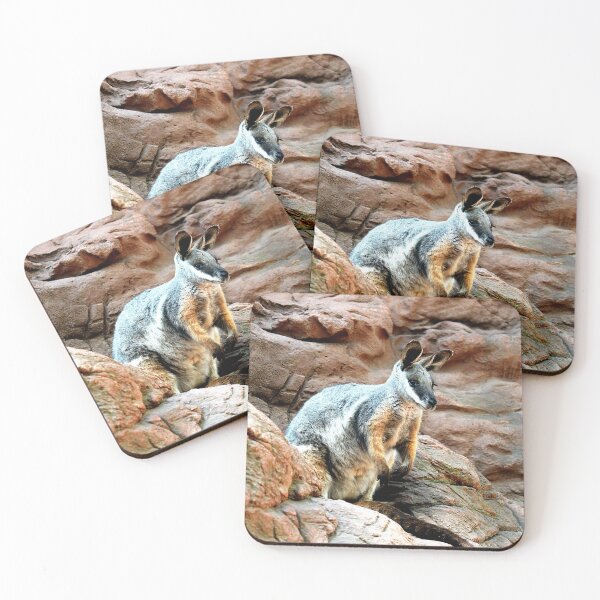 Item preview, Yellow-footed Rock Wallaby designed and sold by Steve Sass.