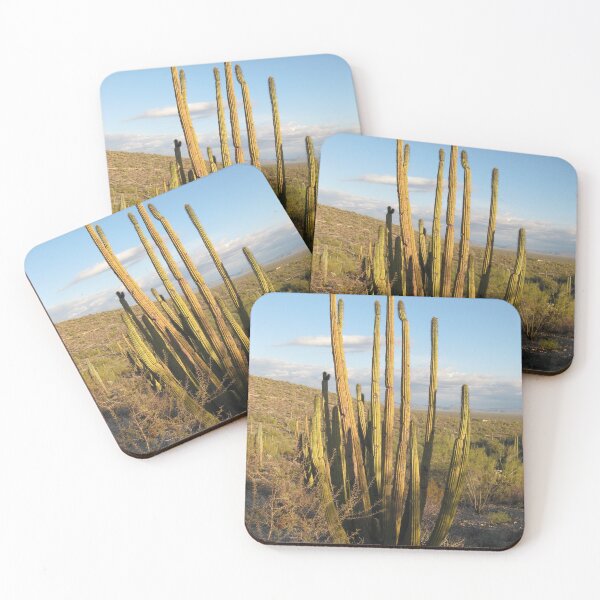 Artikelvorschau, Organ Pipe Cactus National Monument Arizona - Echtes Foto entworfen und verkauft von tumbleweedphoto.