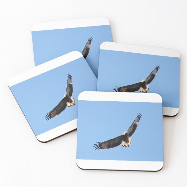 Item preview, Wedge-tailed Eagle designed and sold by Steve Sass.