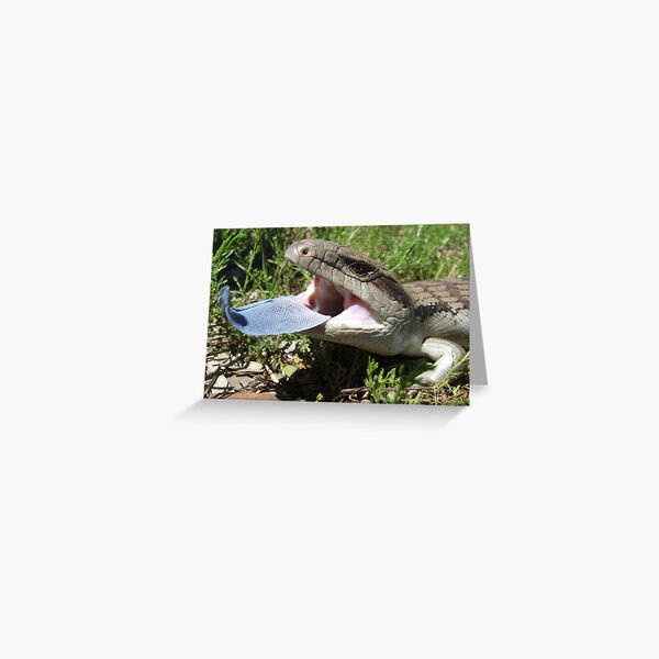 Item preview, Eastern Blue-tongue Lizard designed and sold by Steve Sass.