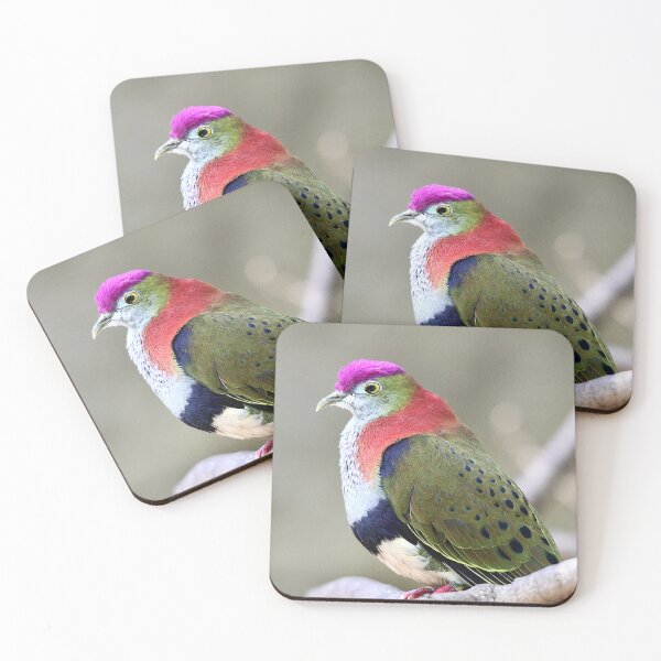 Item preview, Superb Fruit-dove designed and sold by Steve Sass.