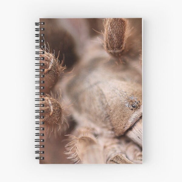 Item preview, Australian Tarantula designed and sold by Steve Sass.