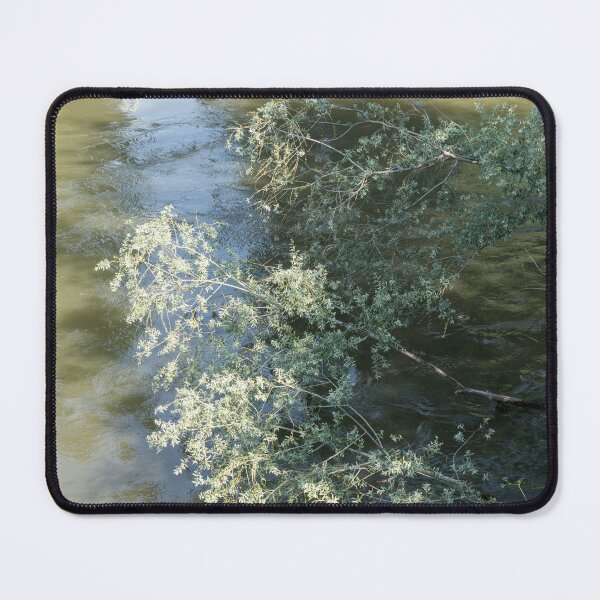 Item preview, Silvery Greens - River Current and Sunlit Weeping Willow Branches designed and sold by Georgia Mizuleva.