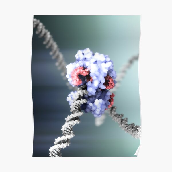 CRISPR-Cas9 Gene Editing Complex Poster