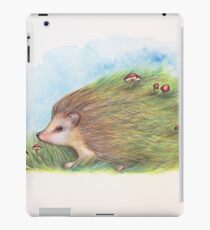 Launischer Igel iPad-Hülle & Klebefolie