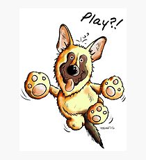 Funny Playing German Shepherd Photographic Print