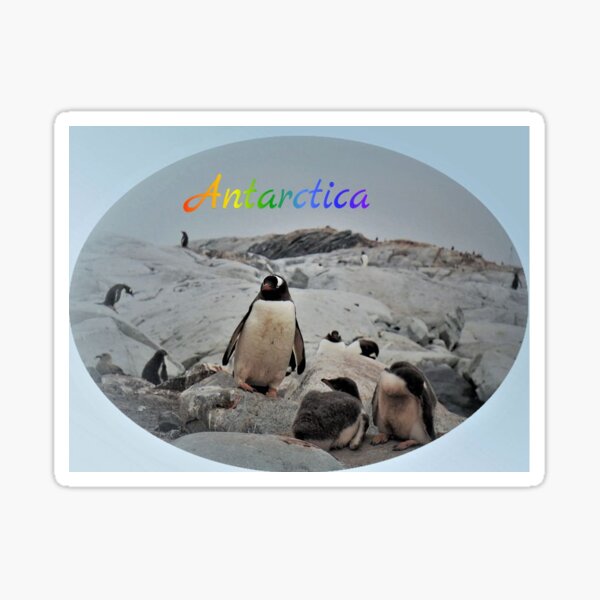 Item preview, Gentoo Penguins  Nursery - Antarctica designed and sold by Bev Pascoe.