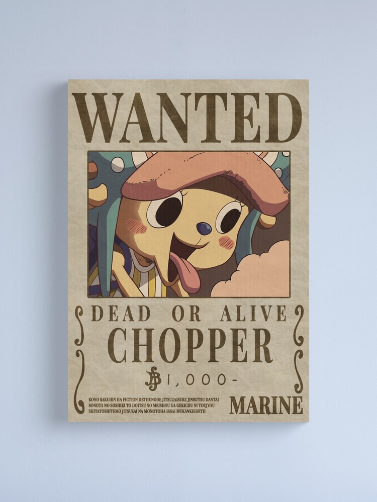 Chopper Bounty Wallpapers - Top Free Chopper Bounty Backgrounds
