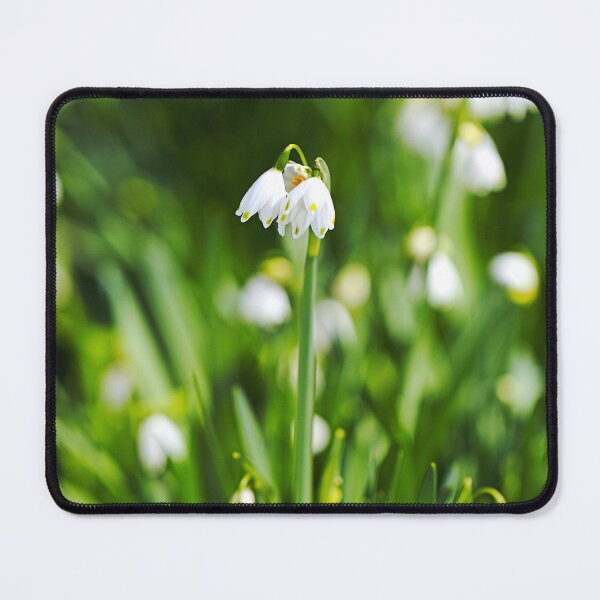Item preview, Snowdrop Flowers Happy Together designed and sold by Joy Watson - Natural Light Photography .
