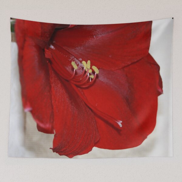 Item preview, Amaryllis Long Stamen Macro designed and sold by AnnDixon.