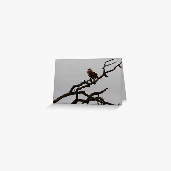 The Cold Wait Greeting Card