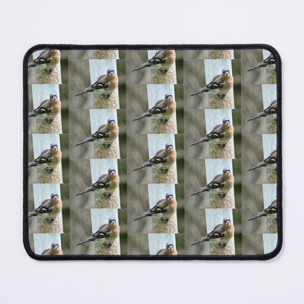Item preview, Chaffinch designed and sold by KathleenDawson.