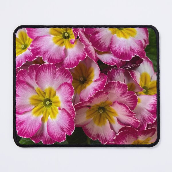 Item preview, Primulas designed and sold by polyhymnia14.